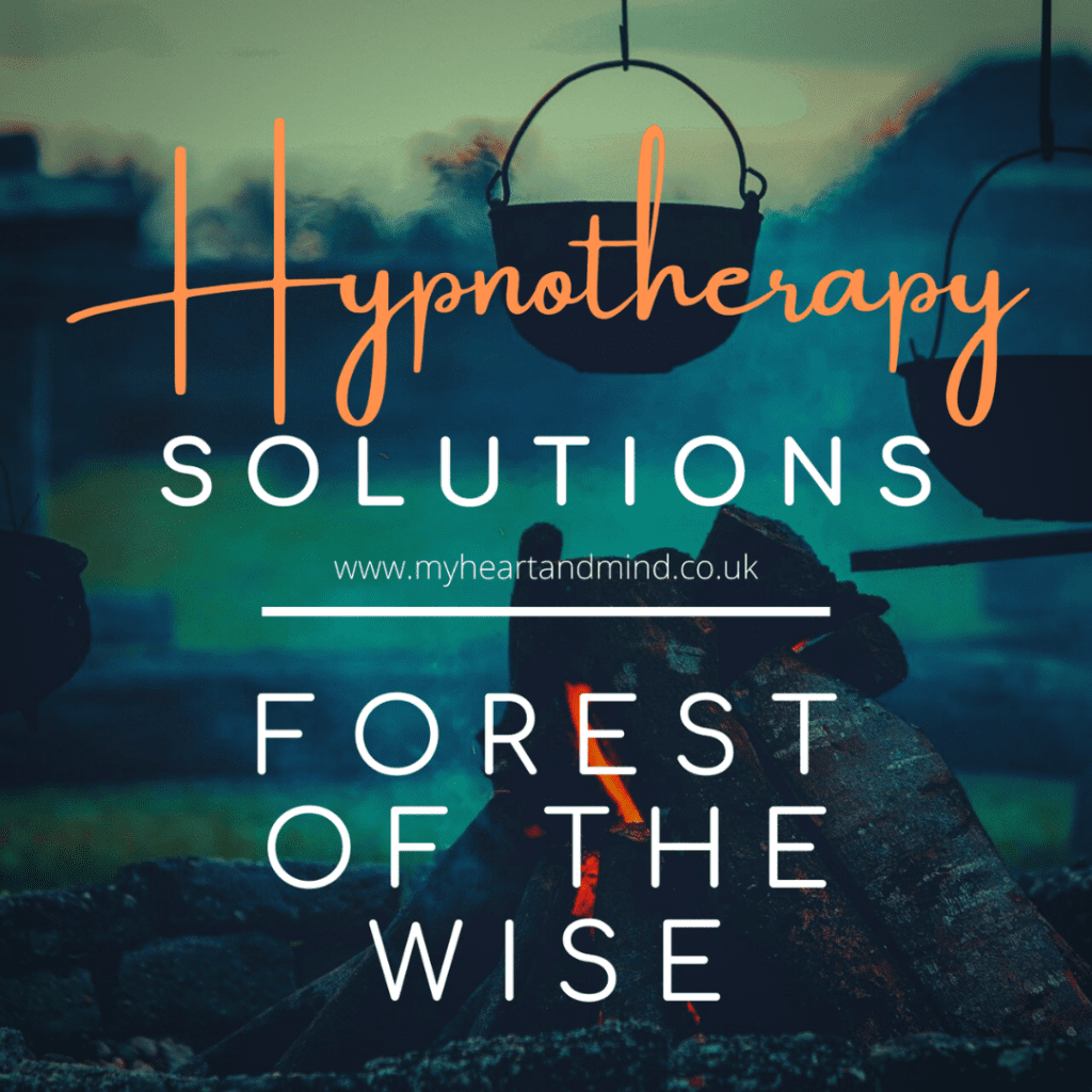 Solutions Hypnotherapy - Forest Of The Wise